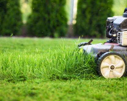LAWN MOWING