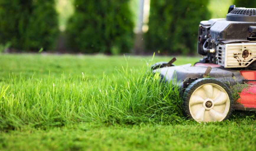  Ace Lawn Pros