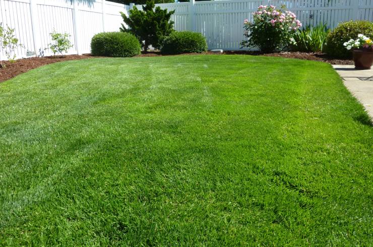  Ace Lawn Pros